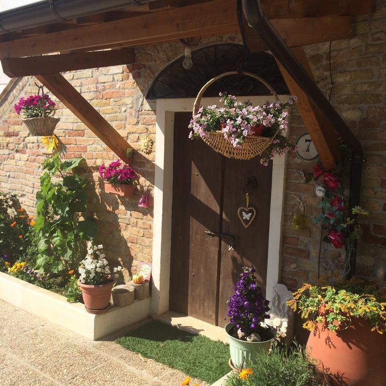 B&B La Casa In Campagna Collecorvino Kültér fotó